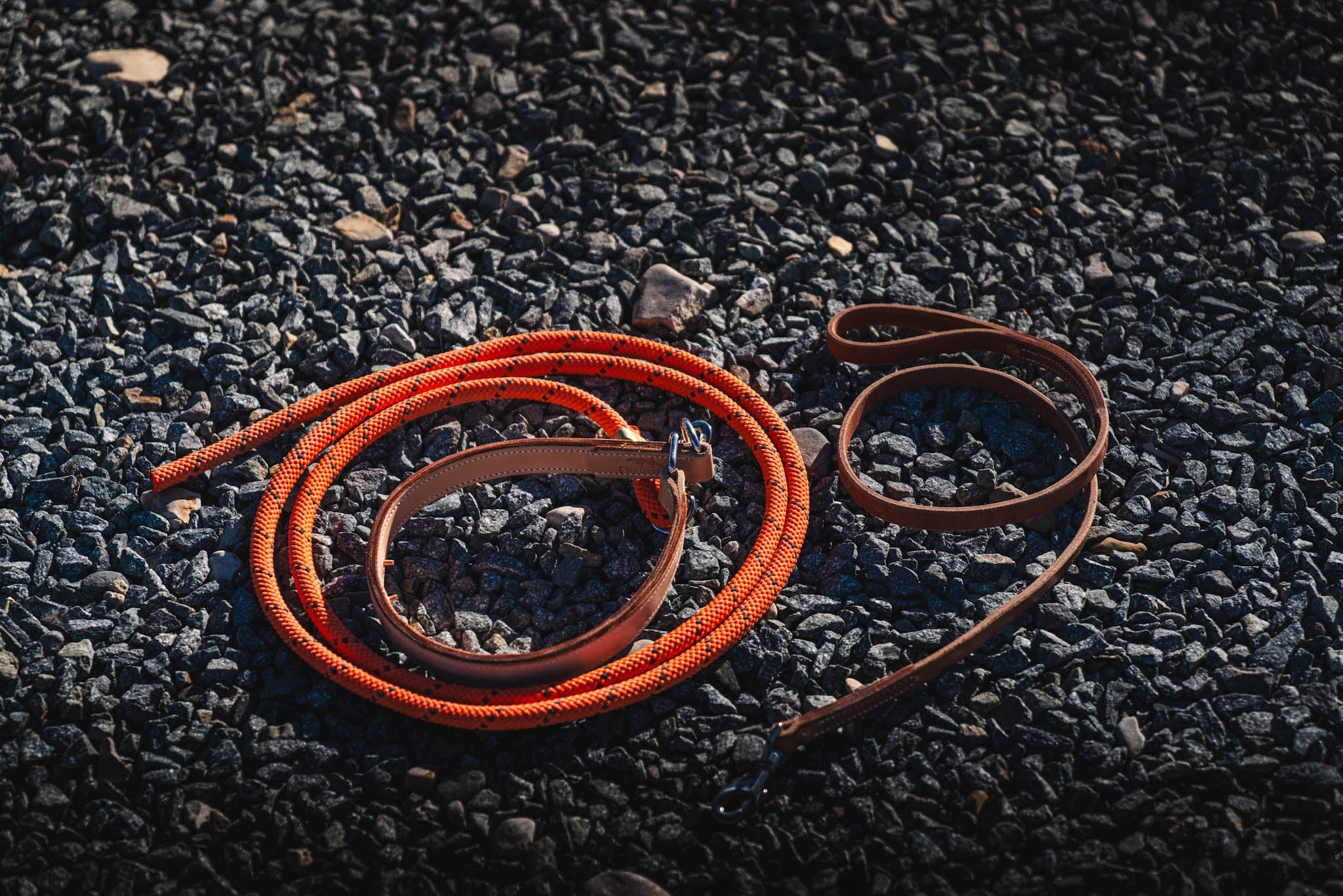 Leather Training Collar made from premium saddle leather with an included check cord, designed for durable pet training.