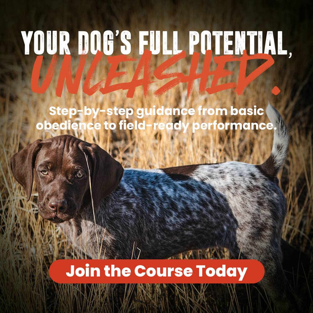 Virtual Training Course