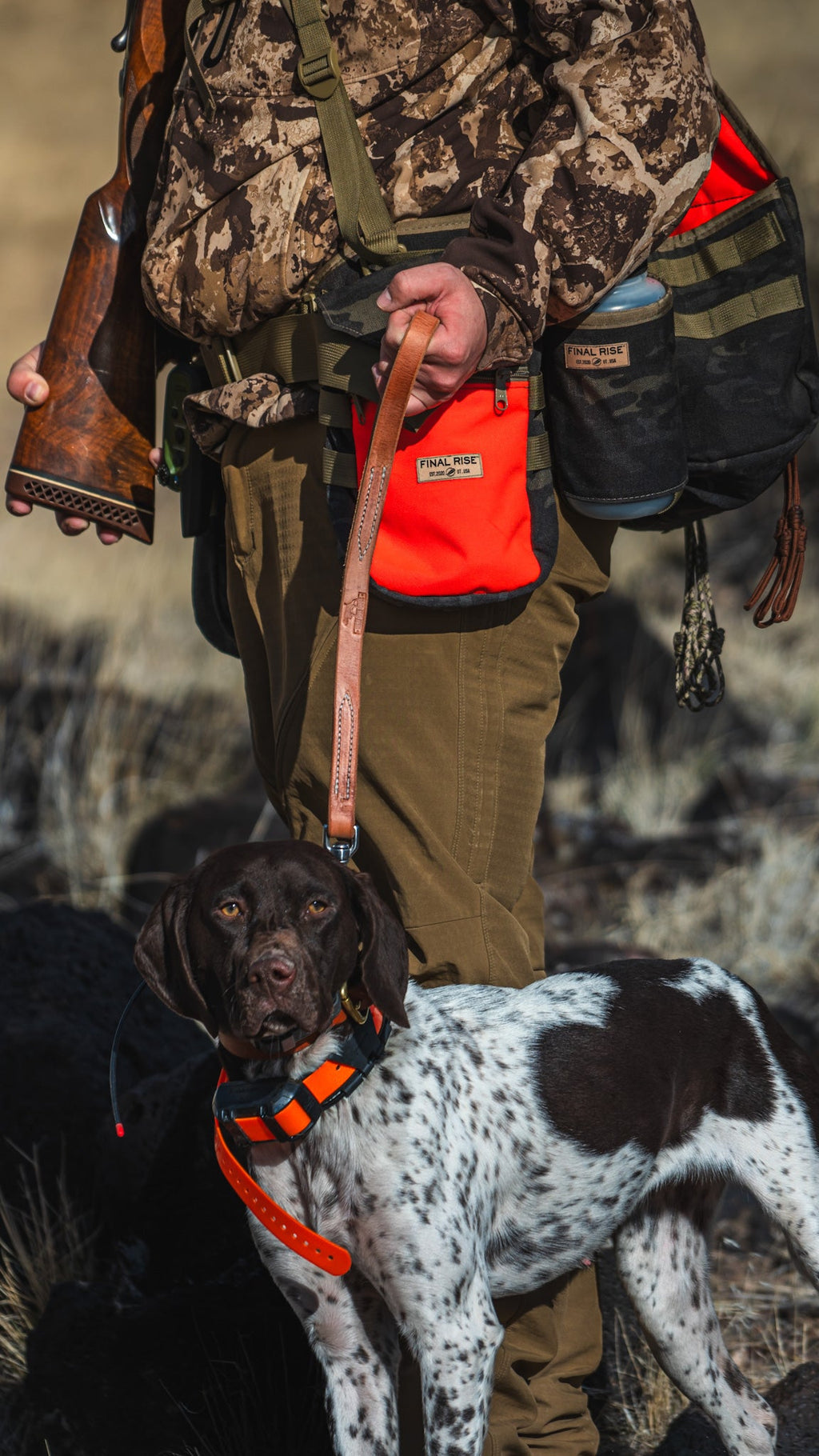 Premium 18" Leather Traffic Lead – Compact & Reliable for Hunting and Training used during a German Shorthaired Pointer training session. Ideal for professional bird dog training and upland hunting dogs retrieving game. Perfect gear for puppy training courses demonstration.