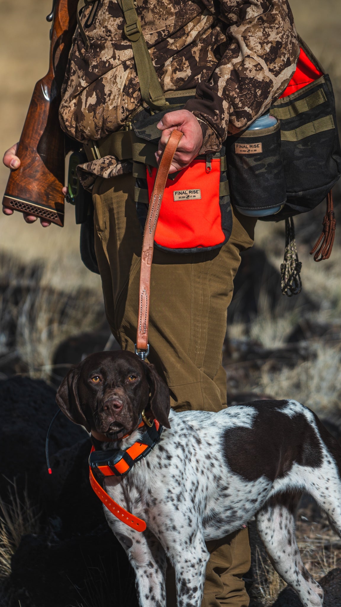 Premium 18" Leather Traffic Lead – Compact & Reliable for Hunting and Training used during a German Shorthaired Pointer training session. Ideal for professional bird dog training and upland hunting dogs retrieving game. Perfect gear for puppy training courses demonstration.