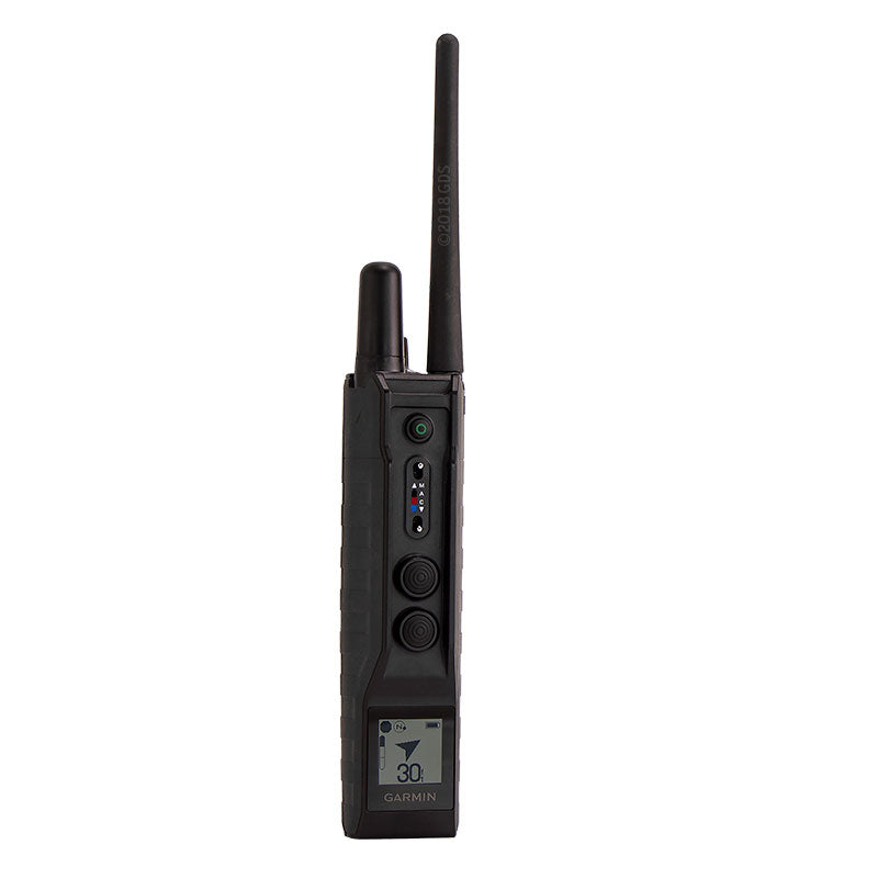 Garmin PRO 550 Plus used during a German Shorthaired Pointer training session. Ideal for professional bird dog training and upland hunting dogs retrieving game. Perfect gear for puppy training courses demonstration.