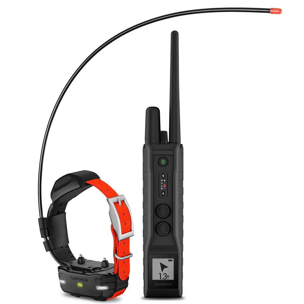 Garmin PRO 550 Plus used during a German Shorthaired Pointer training session. Ideal for professional bird dog training and upland hunting dogs retrieving game. Perfect gear for puppy training courses demonstration.